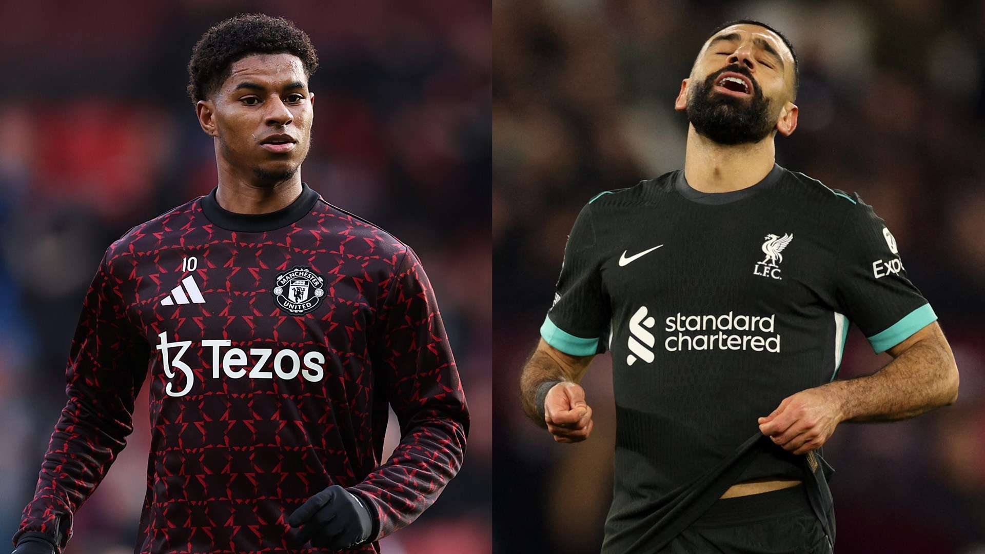 热烈支持 热烈支持