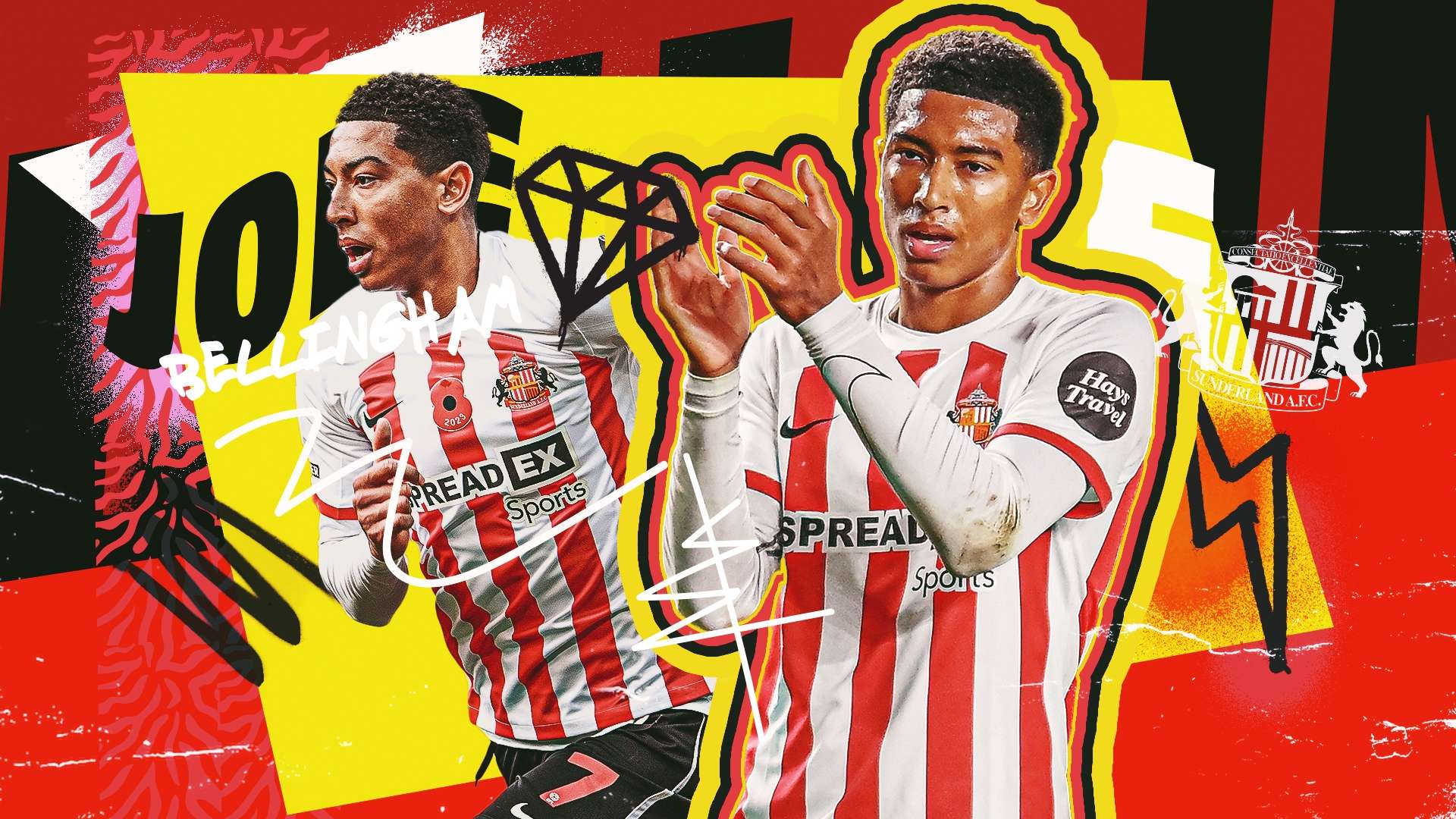 期待在接下 期待在接下