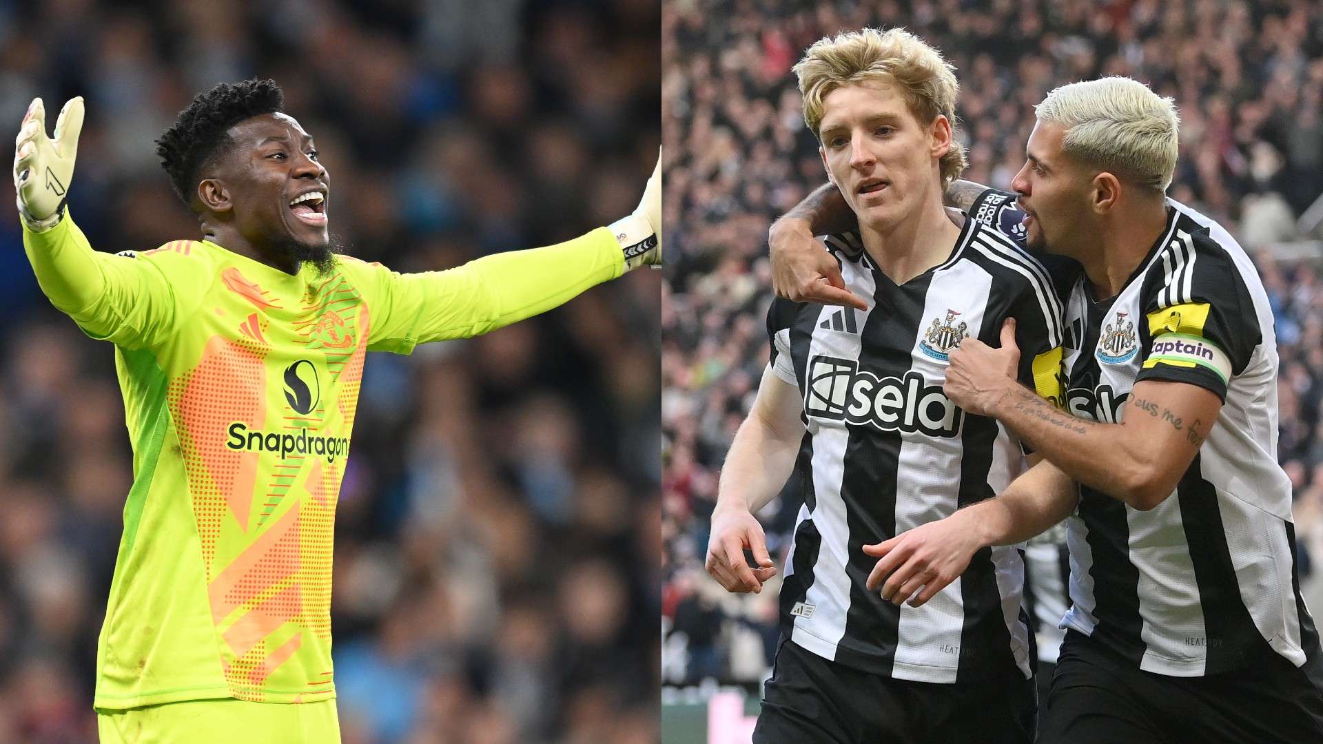 大家纷纷希 大家纷纷希